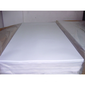 Pure Soft Expanded PTFE Sheet für Siegel